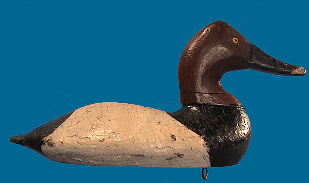 Very early wing duck