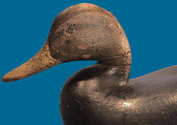 Circa 1860-80 Black Duck by John Henry Downes, Townsend, VA, very rare!