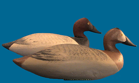Superb James Currier smaller size Canvasback pair.