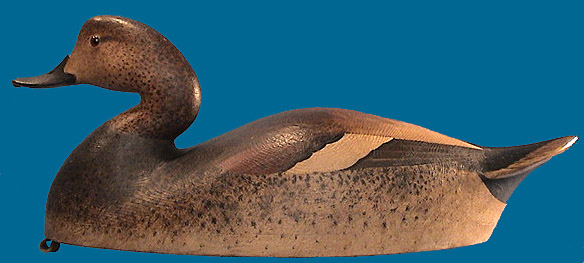 Cameron McIntyre Gadwall, superb!