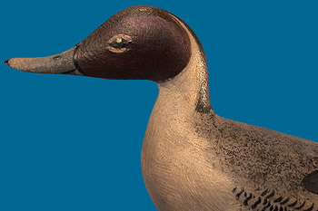 A.E. Crowell miniature Pintail drake