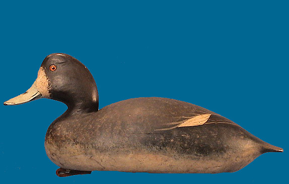 Early hen Bluebill by Bob White, circa 1969 & from his personal gunning rig