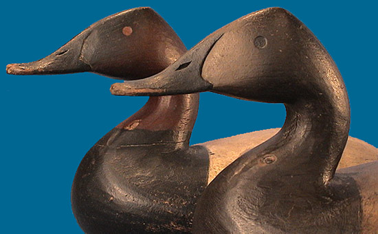 Superb Graham style pair of hollow Canvasbacks by Cameron McIntyre