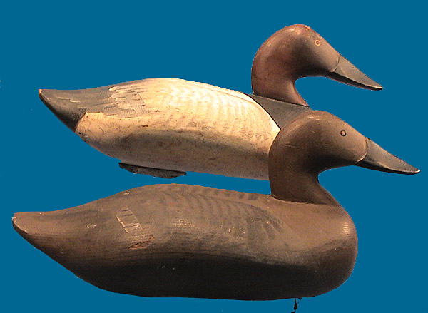Paul Gibson matched Canvasback pair