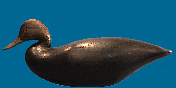 Circa 1860-80 Black Duck by John Henry Downes, Townsend, VA, very rare!