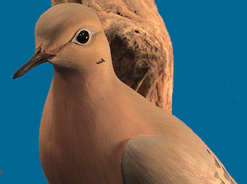 Awsome life size dove by Eddie Wozny, signed & dated 1995