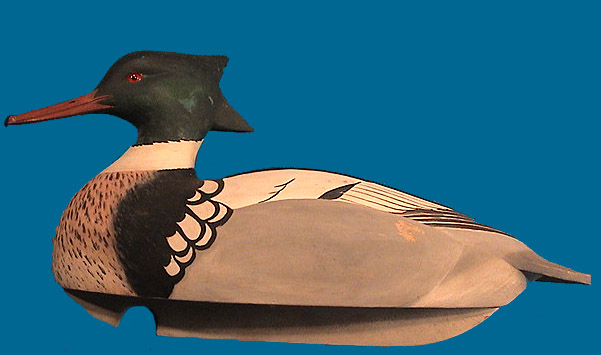Reggie Birch Red-Breasted Merganser