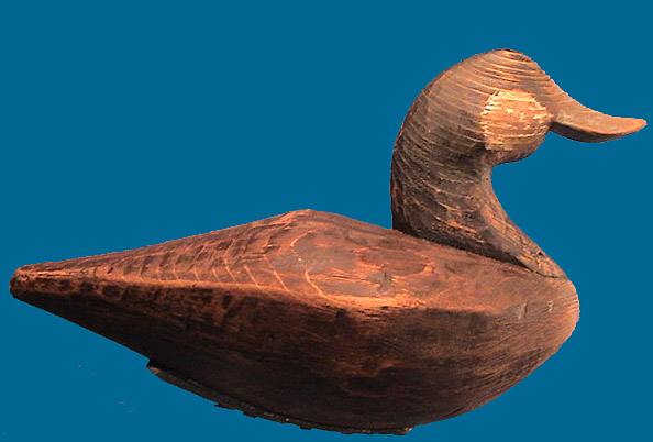 John Williams style Ruddy Duck by Michael Johnson