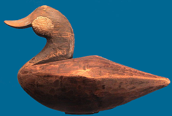 John Williams style Ruddy Duck by Michael Johnson