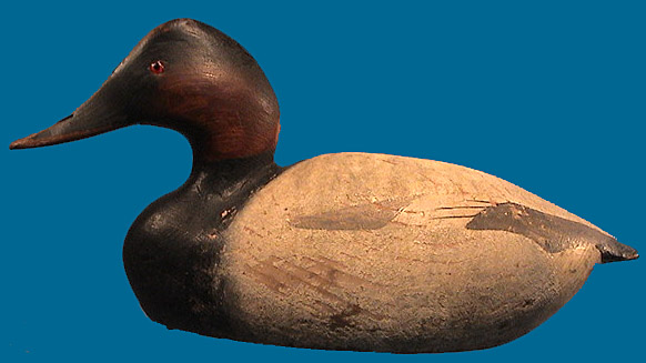 Rare "open-water" drake Canvasback by the Ward Brothers 1920-30