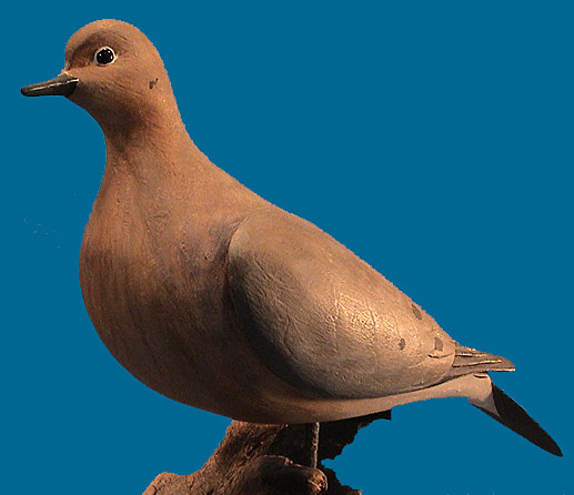 Eddie Wozny Dove