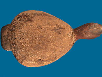 1928 Knot Head Canvasback by the Ward Brothers