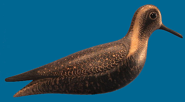 Mark McNair Golden Plover