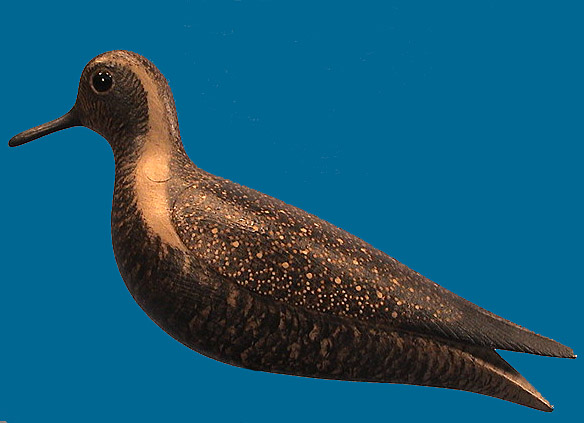 Mark McNair Golden Plover