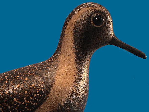 Mark McNair Golden Plover