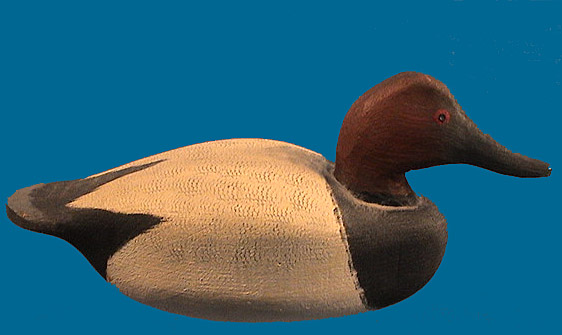 Corb Reed mini Canvasback