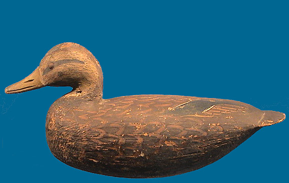 Hudson balsa Black Duck