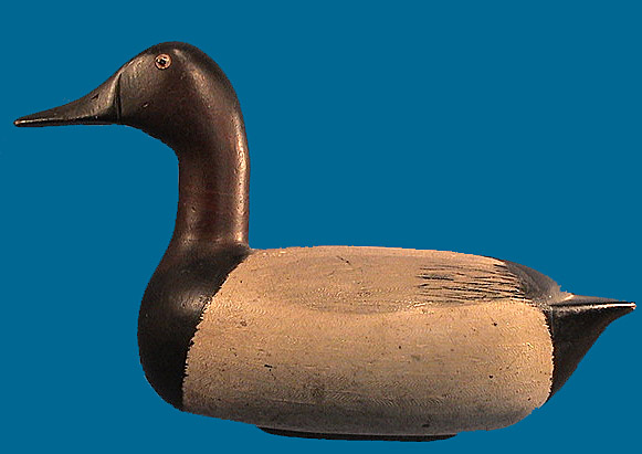 Jack Eppel drake Canvasback