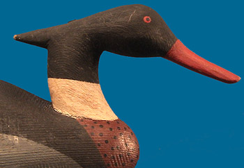 Meekins Red Breasted Merganser pair