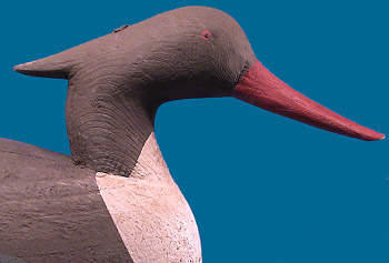 Meekins Red Breasted Merganser pair
