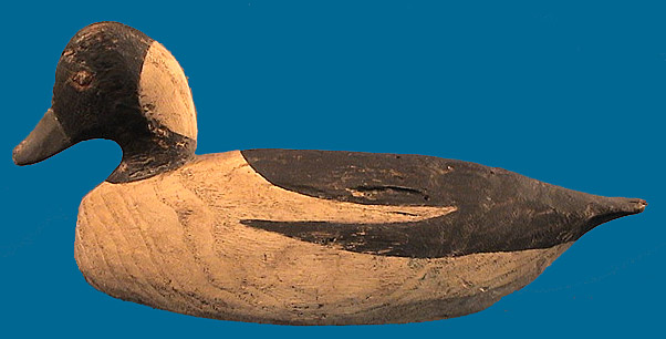 Miles Hancock Bufflehead