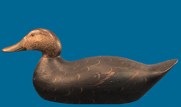Mason Black Duck