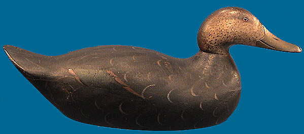 Mason Black Duck