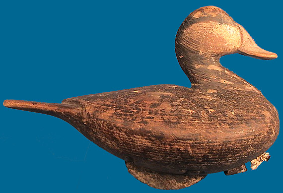 Dudley style Ruddy duck by McIntyre