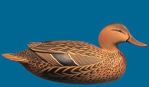 Oliver Lawson hen Mallard