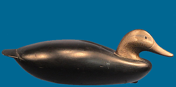 Early McNair Black Duck