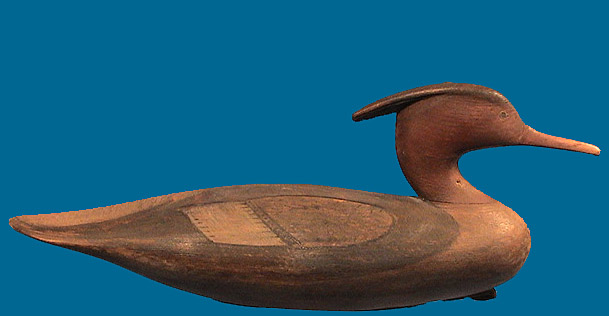 McNair Merganser Hen