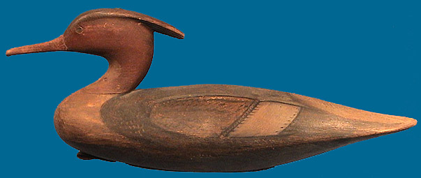 Merganser hen by the McNair father/son