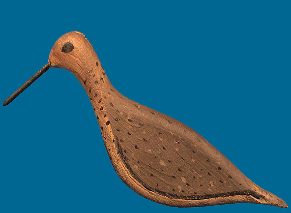 Long Island Yellowlegs