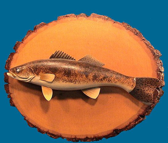 Larry Ackerman Walleye fish plaque