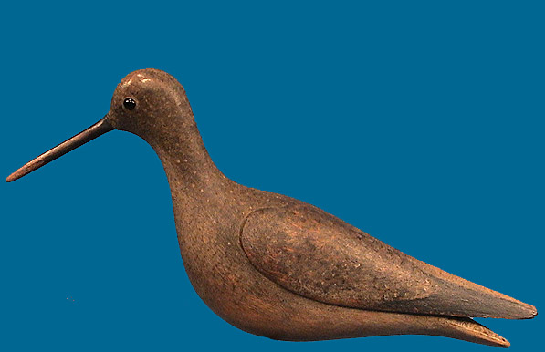McNair Yellowlegs