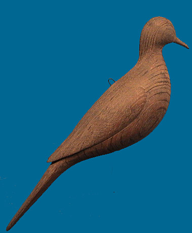 McNair Dove