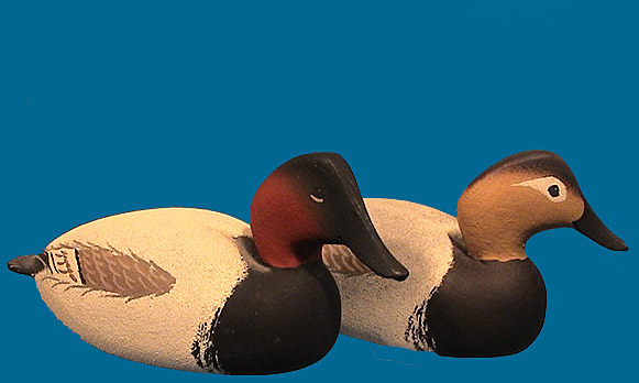 Lawson mini Canvasback pair