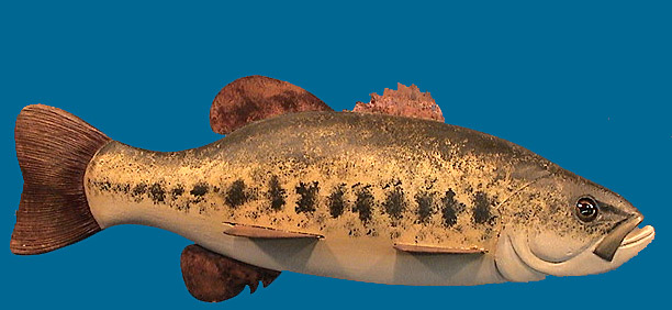 Bass fish decoy by Larry Ackerman