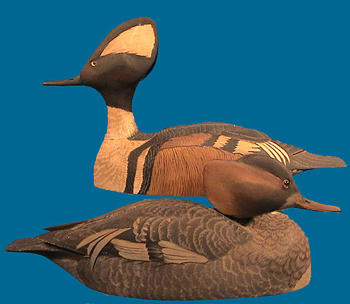Unknown Hooded Merganser pair