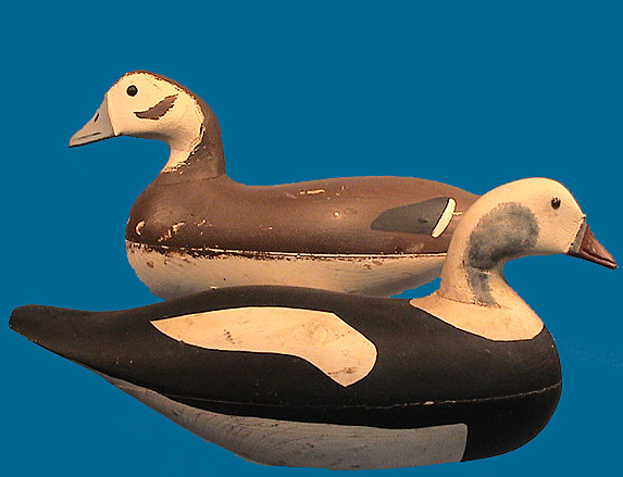 Hendrickson Old Squaw pair