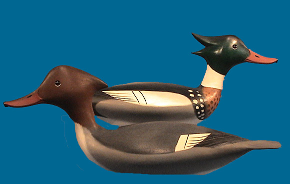 Pete Peterson Red Breasted Merganser pair