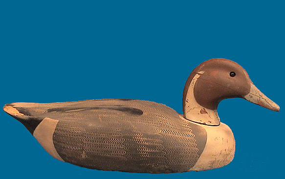 Decoys Unlimited drake Pintail