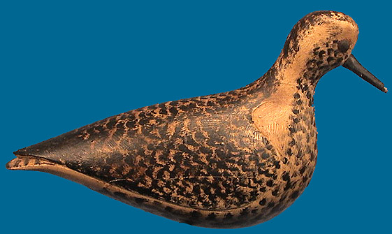 McNair early BB Plover