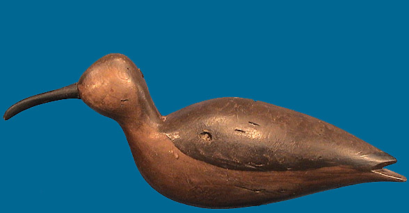 Cigar Curlew