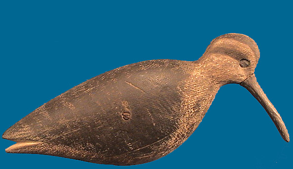 Robby Lewis Cobb style Curlew