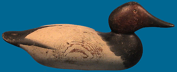 Mason Canvasback
