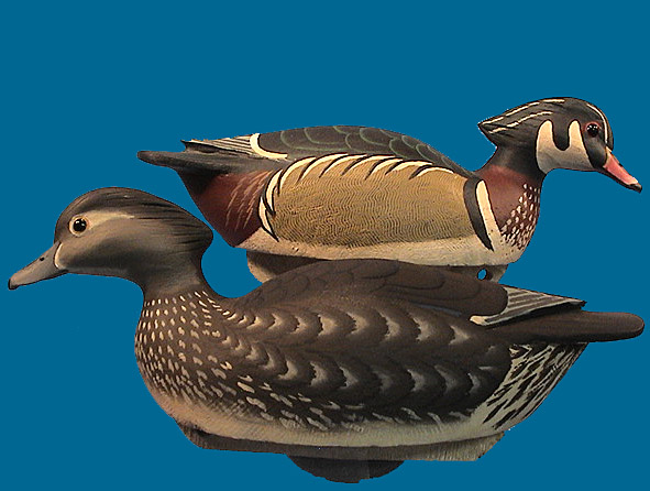 Grayson Chesser Wood Duck pair