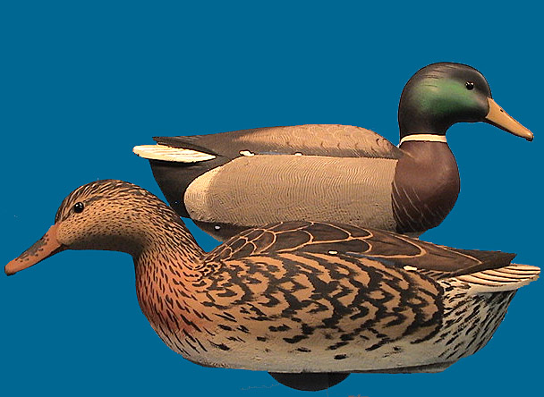 Grayson Chesser Mallard pair
