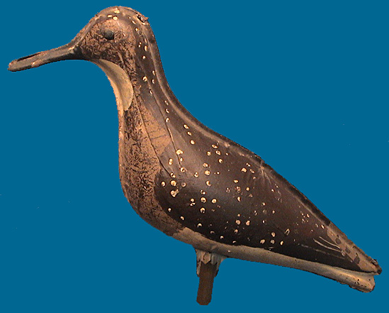 Tin Yellowlegs