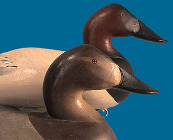 Joiner Roman Nose Canvasback pair